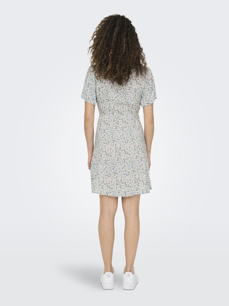 Ladies Evida Short Sleeve Mini Dress-Gray Mist-Model Back View