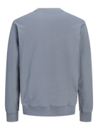 JACK & JONES Owen crew-neck sweatshirt in Turbulence blue back product view