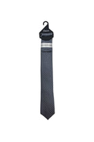 Zazzi Boyswear Kid Boys Pattern Tie & Pocket Square Set-Sand/Blue/Silver Sand/Blue/Silver front view