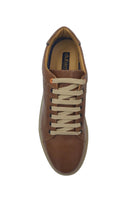 Dubarry Stash Tan Shoe Tan back view