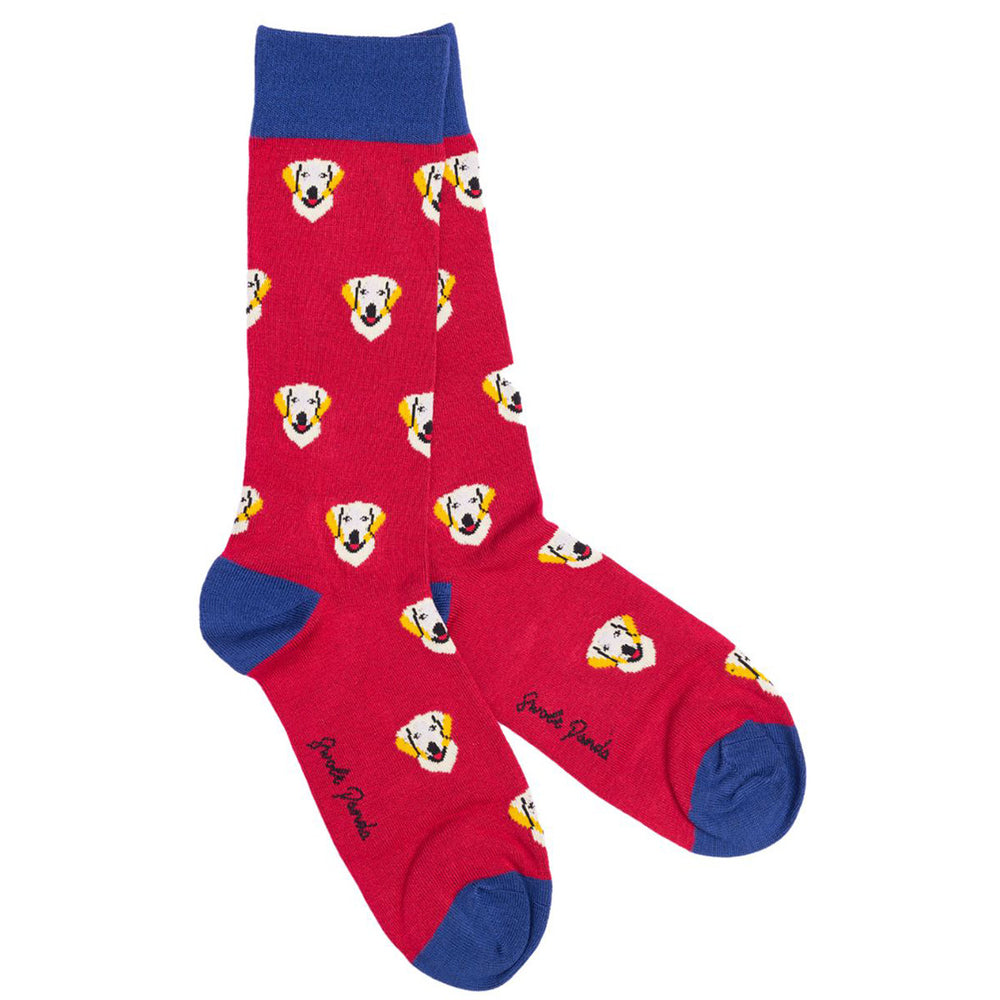 Swole Panda Golden Retriever Bamboo Socks Red/Blue front view