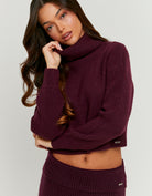Tally Weijl Burgundy Turtle Neck Knit Jumper Burgundy model front view