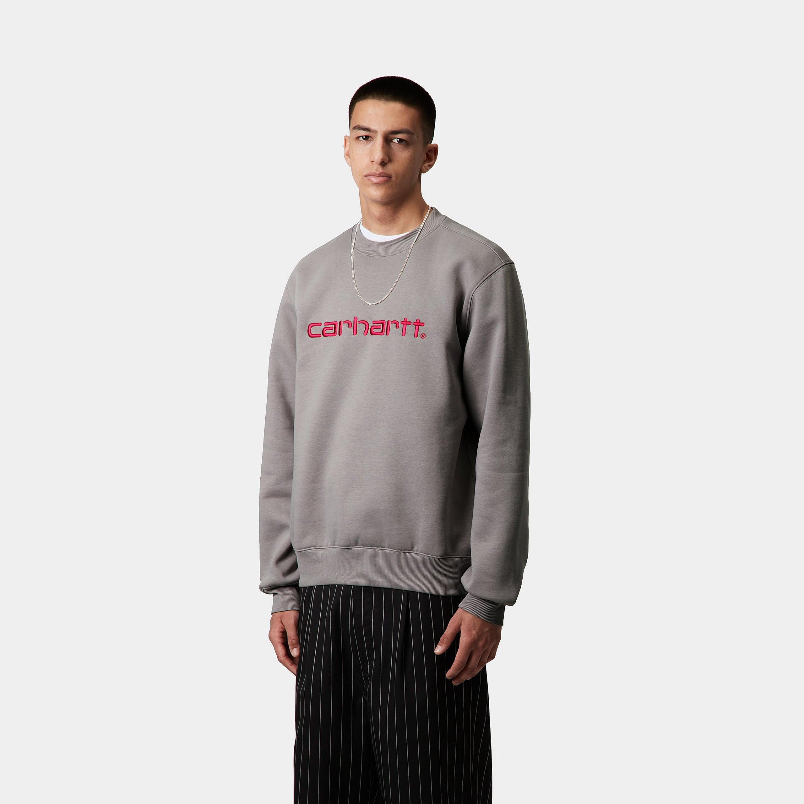 Men's Carhartt Sweat-Yosemite / Disco-Model Front View