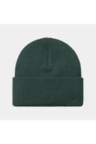 Carhartt WIP Chase Beanie-Discovery Green / Gold Discovery Green / Gold model front view