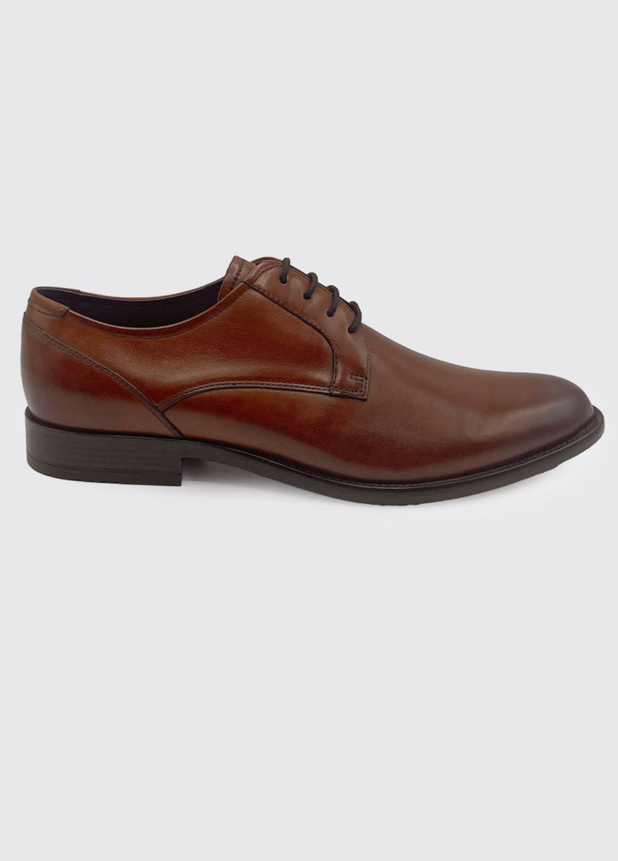Brown leather dress shoe on a white background