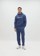 Diesel Walt Hoodie in Hugo Blue, front model view showing the chest graphic and kangaroo pocket.