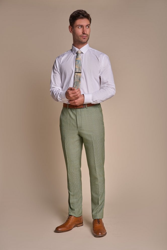 House of Cavani Caridi Sage Trousers Sage model front view