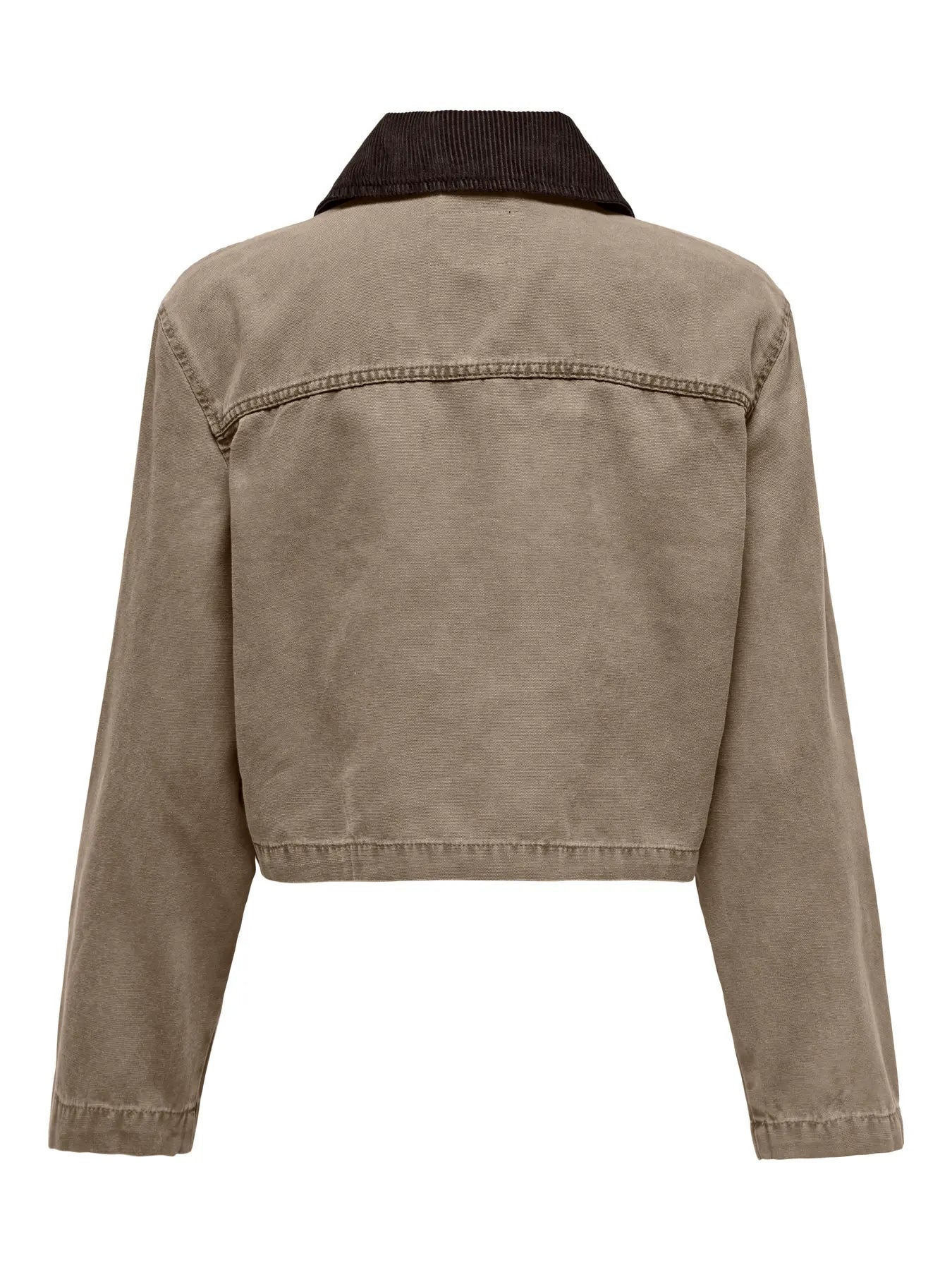Ladies Cava Collar Jacket - Silver Mink/Chocolate Torte-Back View