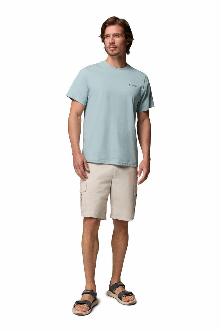 Man wearing a light blue t-shirt and beige shorts on a white background