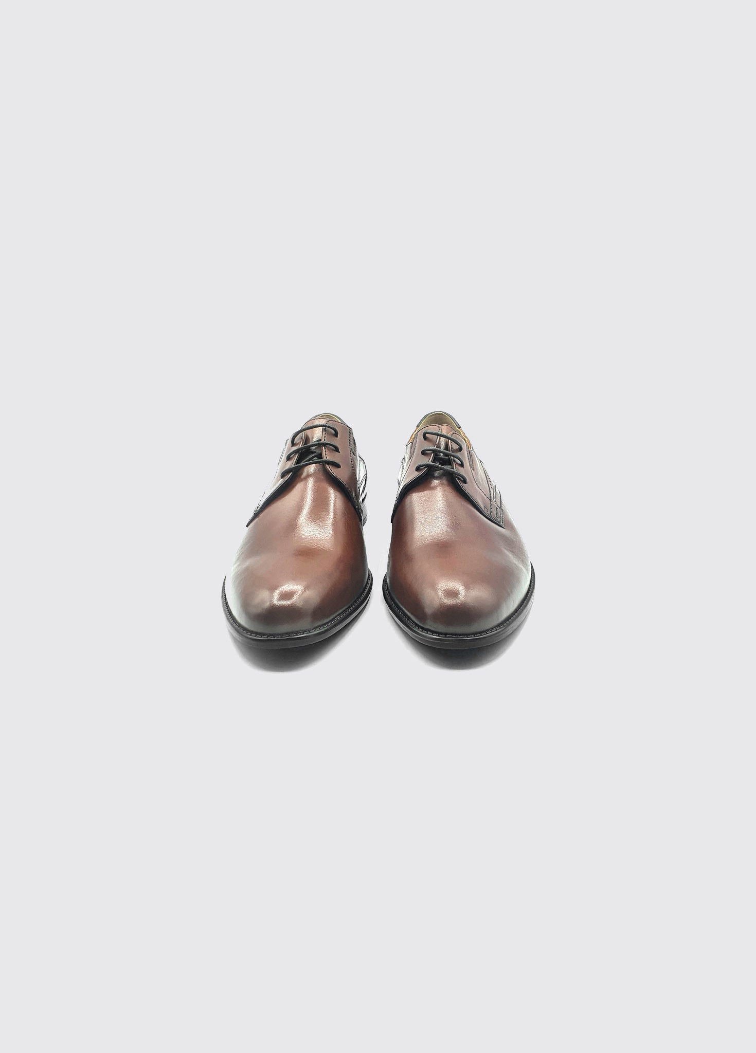 Pair of brown leather shoes on a light gray background-Front view