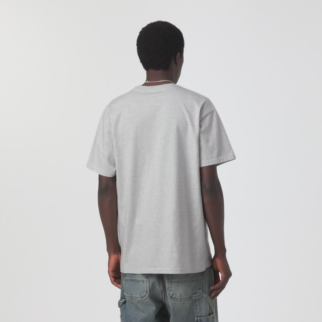 Carhartt WIP S/S Chase T-Shirt in Ash Heather / Gold product video