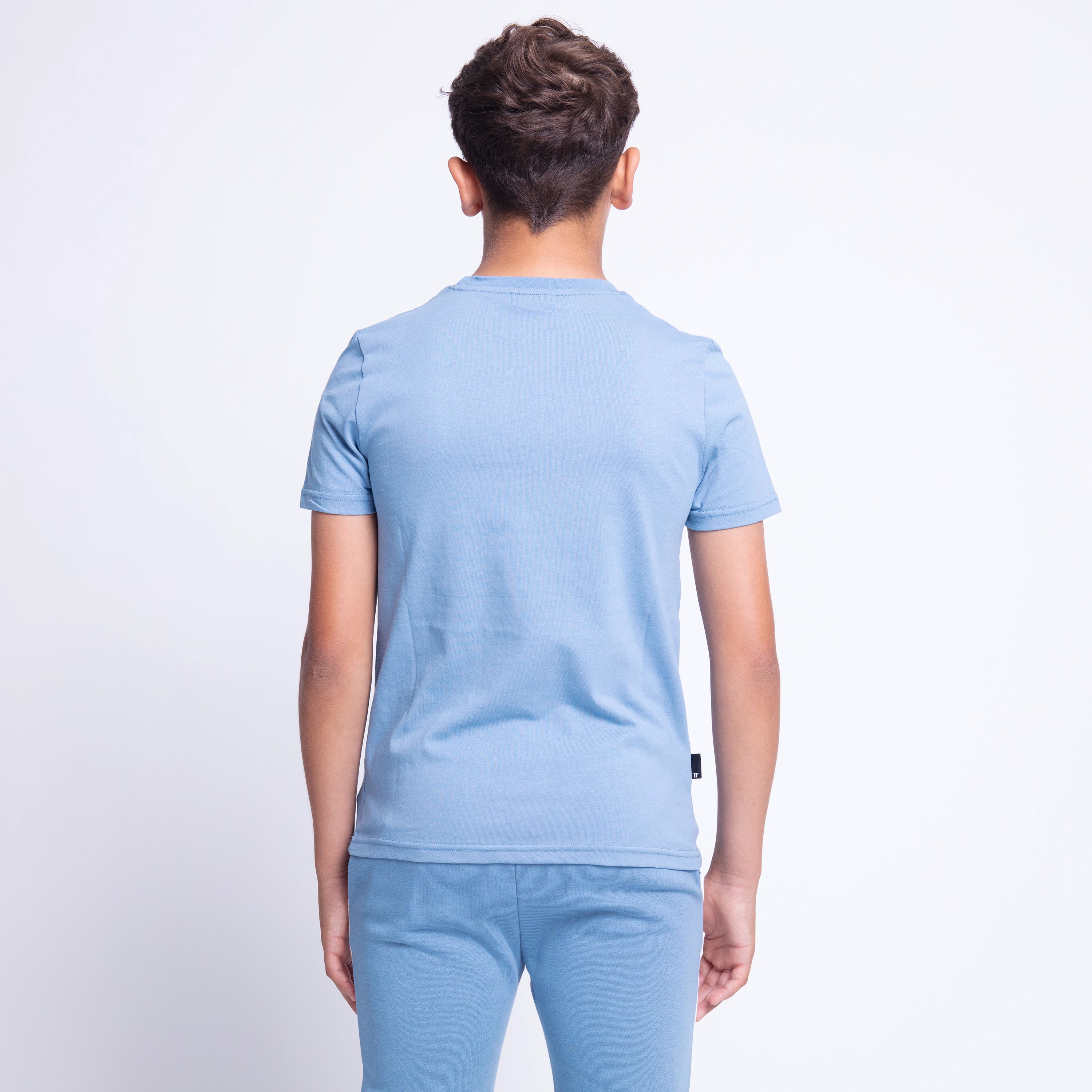 Boy's Junior Taped Block T-Shirt-Shadow Blue-Back View