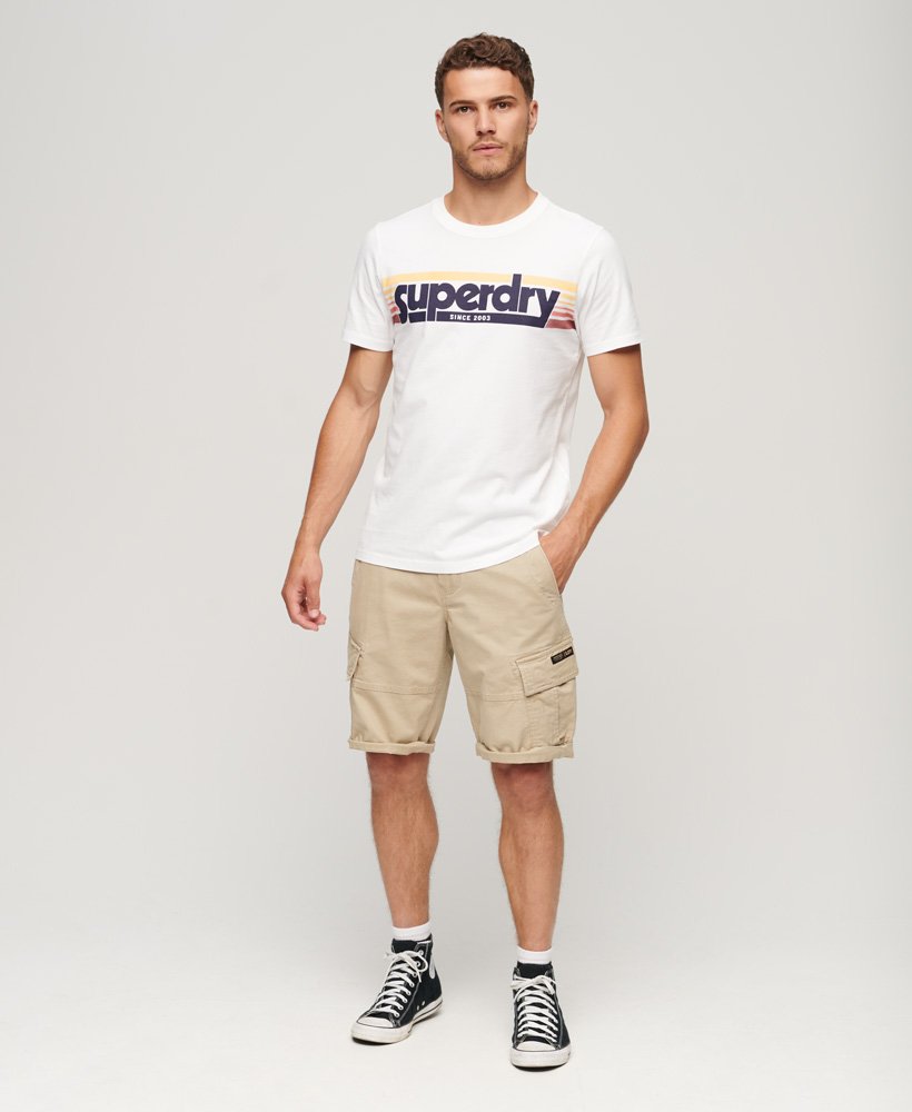 Men's Terrain Striped Logo T Shirt-Optic-Model Full Front View