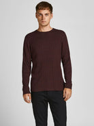 JACK JONES PREMIUM Winter Cable Crew Knit Cowhide model front view