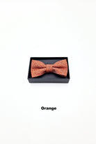 Zazzi Boyswear Zazzi Boxed Grain Boys Bow & Pocket Square Green model front view
