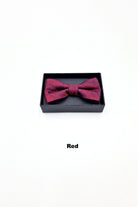 Zazzi Boyswear Zazzi Boxed Grain Boys Bow & Pocket Square Green close up view