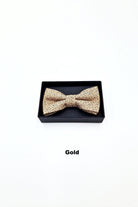 Zazzi Boyswear Zazzi Boxed Grain Boys Bow & Pocket Square Green model back view