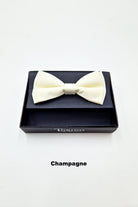 TORINO Mens Pre Tied Bow Champagne back view