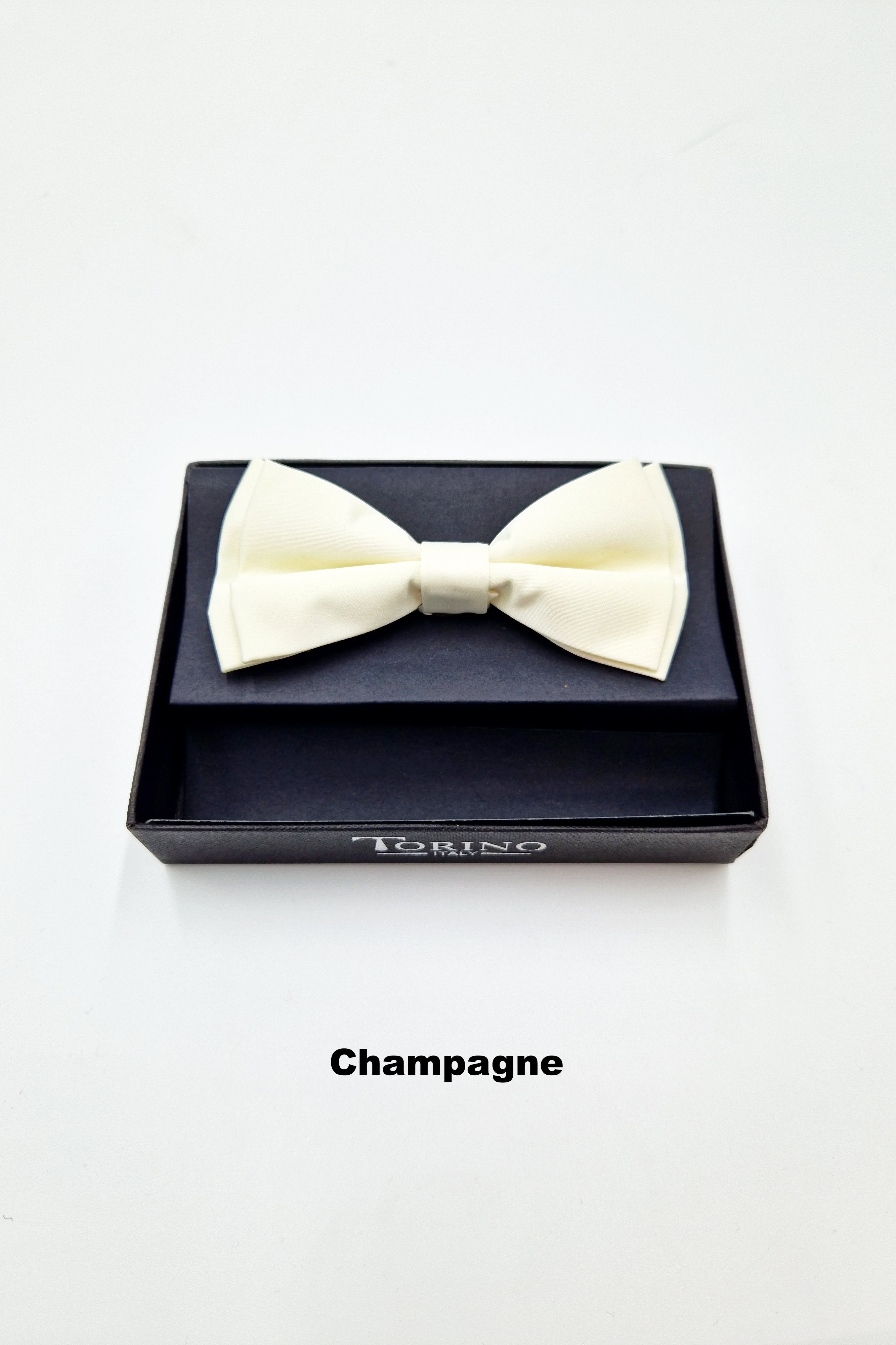 TORINO Mens Pre Tied Bow Champagne back view