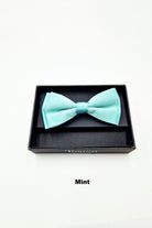 TORINO Mens Pre Tied Bow Hot Pink view 16