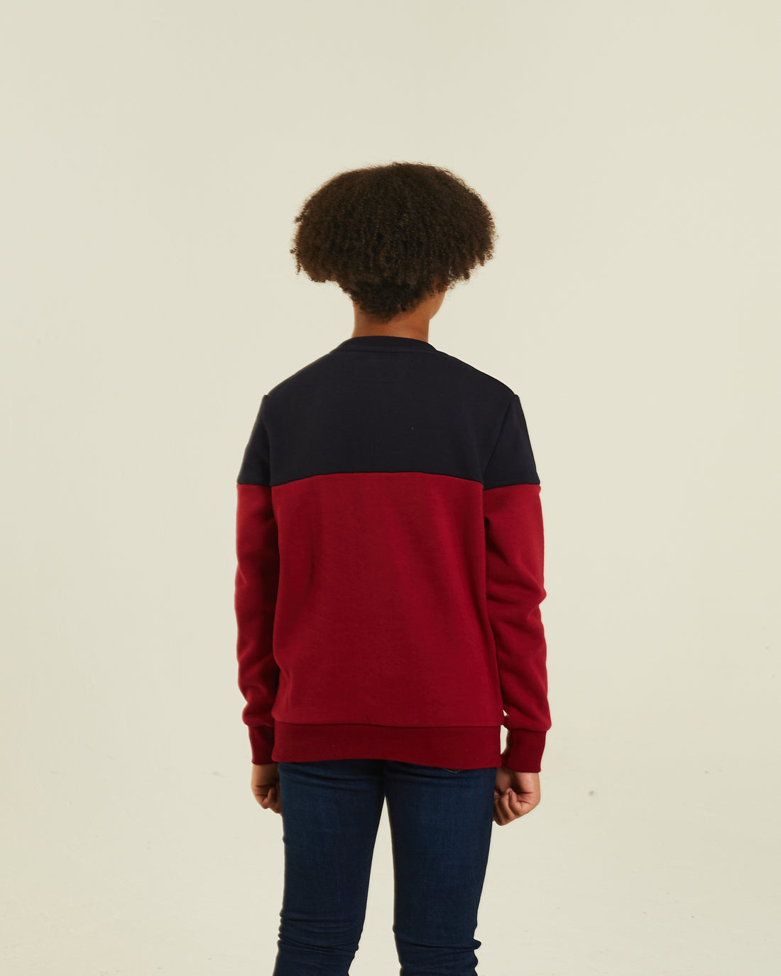 Boy's Barney Red / Navy Sweater-Back View