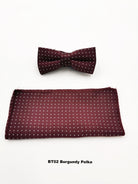 Boys burgundy polka bow tie and pocket square set