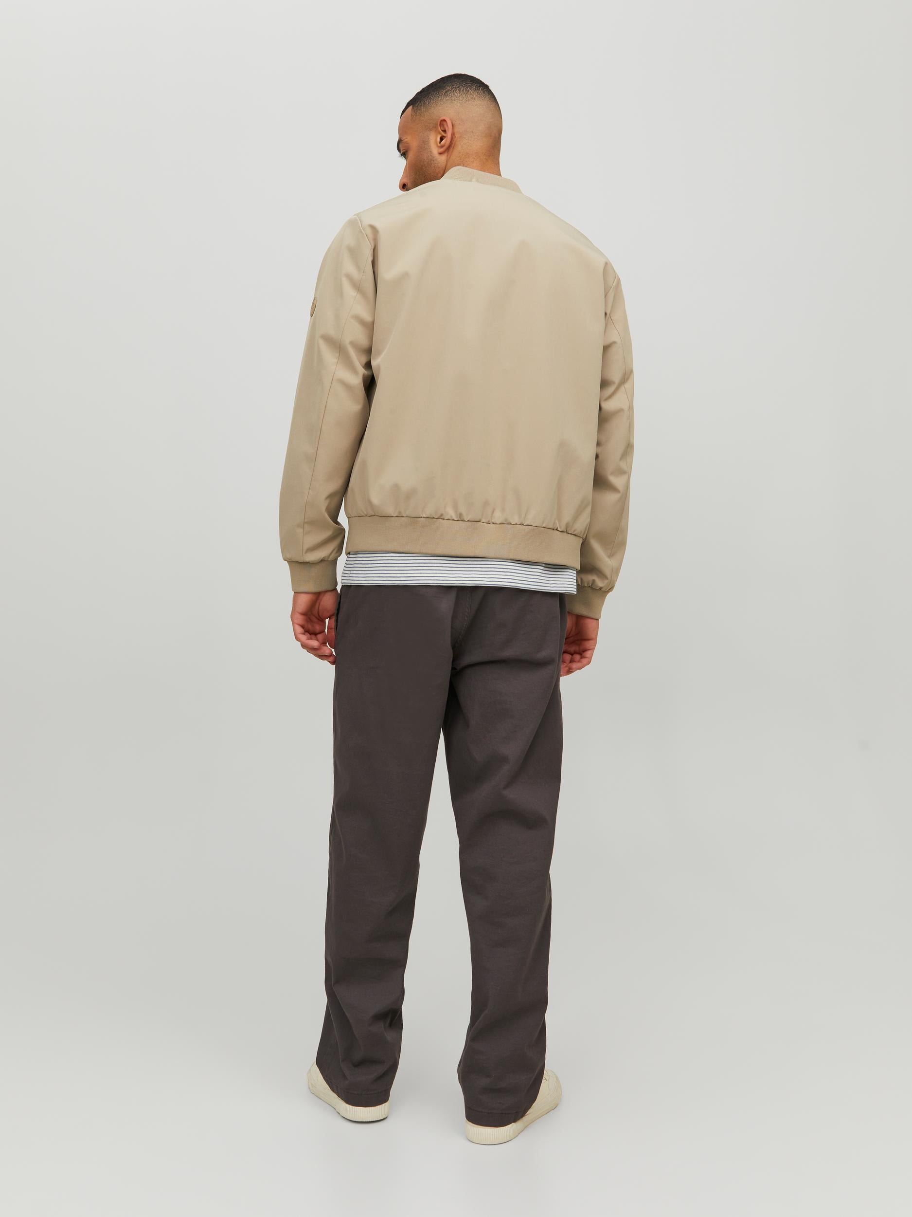 JACK JONES PREMIUM Carlton Bomber Jacket Winter Twig Winter Twig back view