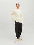 JACK JONES PREMIUM Fly Crew Neck Sweat Cashmere Blue back view