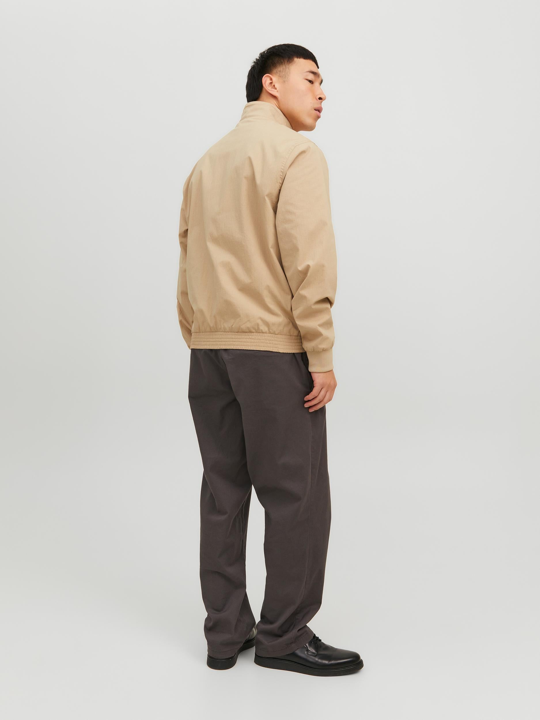 JACK JONES PREMIUM Reem Bomber Jacket White Pepper White Pepper detail view