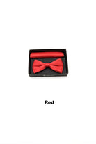 TORINO Satin Mens Bow and Pocket Square Aqua Blue view 24