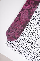 Marc Darcy Boyswear Boys Pink Paisley Tie PINK model front view