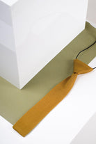 Marc Darcy Boyswear Kids Knitted Ties by Marc Darcy RUST model front view