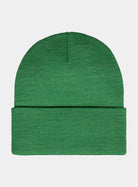 Carhartt WIP Script Beanie-Bonsaï / Brick Bonsaï / Brick detail view