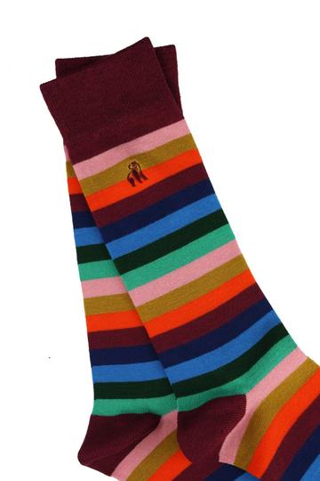 Men's Multi Coloured Fine Stripe Socks-Detail View