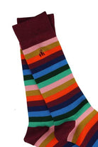 Swole Panda Multi Coloured Fine Stripe Socks Multi Color detail view