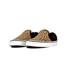 Vans Womens WN Asher Checkers Black/White Trainers Black/White model front view